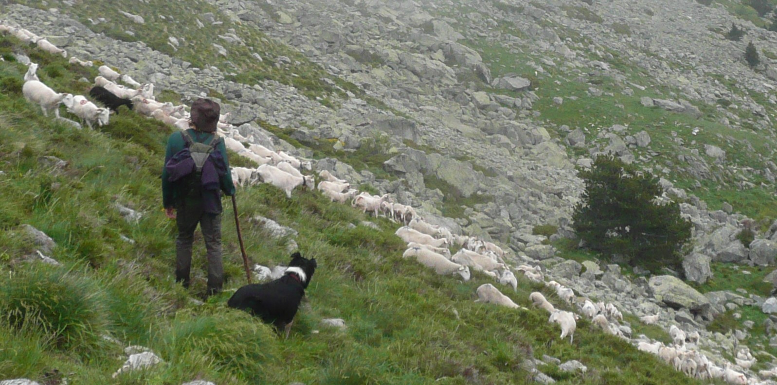 La Pastorale Pyrénéenne