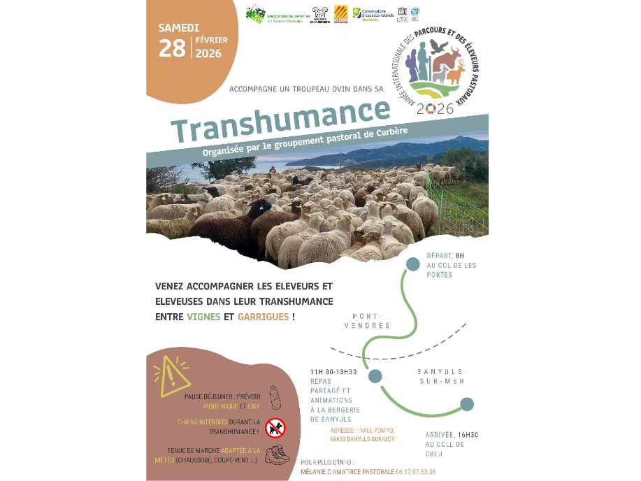 Pyrénées Orientales : Accompagne un troupeau Ovin dans sa Transhumance